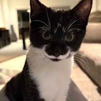 Thumbnail photo of Rubyn #4