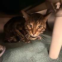 Thumbnail photo of Jumanji #3