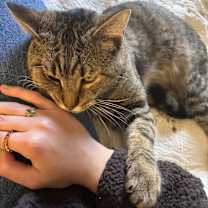 Thumbnail photo of Jack #3