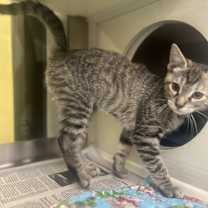 Thumbnail photo of Eve #3