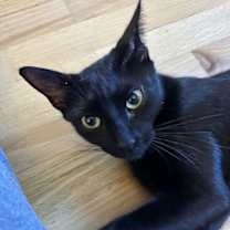 Thumbnail photo of Lupita #1