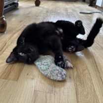 Thumbnail photo of Lupita #2