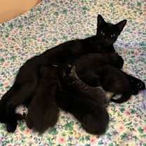 Thumbnail photo of Lupita #4