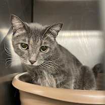 Thumbnail photo of Jax #1