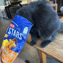 Thumbnail photo of Hockney NN #1