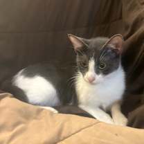 Thumbnail photo of Sophia #2