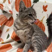 Thumbnail photo of Mama Taki #3