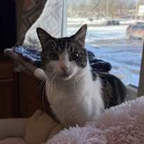 Thumbnail photo of Bubbles #2