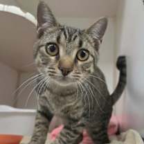 Thumbnail photo of Winter #1