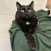 Thumbnail photo of Mars #1