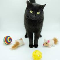 Thumbnail photo of Molly Speck #2