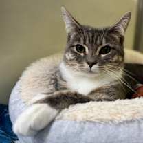 Thumbnail photo of Sketch #1