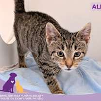 Thumbnail photo of Alba #1