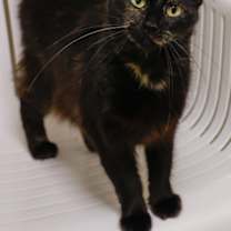 Thumbnail photo of Storm #1