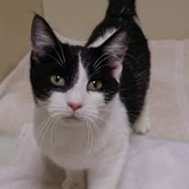 Thumbnail photo of Metilda #1