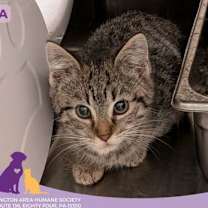 Thumbnail photo of Fria #2