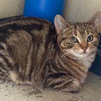 Thumbnail photo of Swirl #2