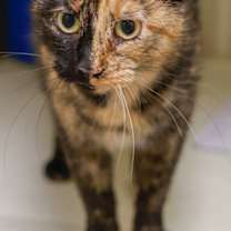 Thumbnail photo of Lil P #2