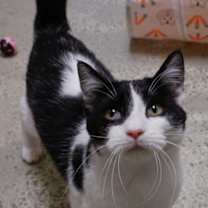 Thumbnail photo of Metilda #2