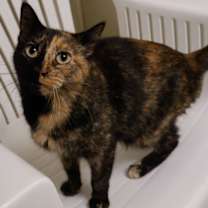 Thumbnail photo of Lil P #3