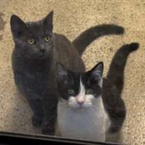 Thumbnail photo of Metilda #3