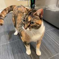 Thumbnail photo of Annmarie #3