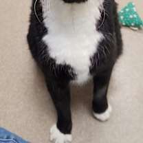 Thumbnail photo of Cisco #1