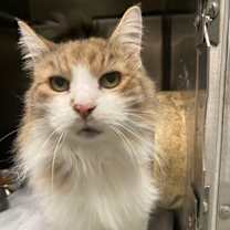 Thumbnail photo of Sid #2