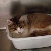 Thumbnail photo of Sid #3