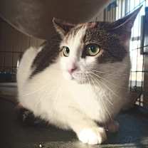 Thumbnail photo of Sharee #2