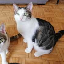 Thumbnail photo of Jimee #3