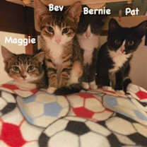 Thumbnail photo of Bernie #1