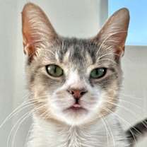 Thumbnail photo of Jane #1