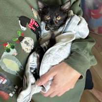 Thumbnail photo of Manhattan #3