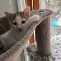 Thumbnail photo of Ina Garten #3