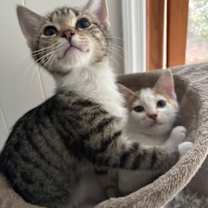 Thumbnail photo of Ina Garten #4