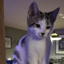 Thumbnail photo of Jaxon #1