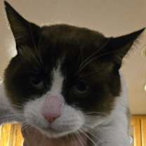 Thumbnail photo of Hope #1