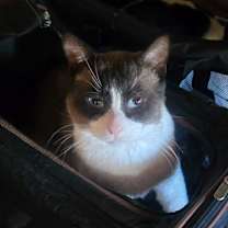 Thumbnail photo of Hope #2