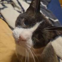 Thumbnail photo of Hope #3