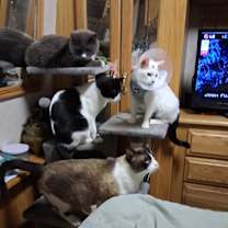 Thumbnail photo of Hope #4