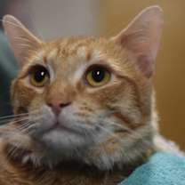 Thumbnail photo of Precious #2