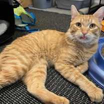 Thumbnail photo of Precious #3