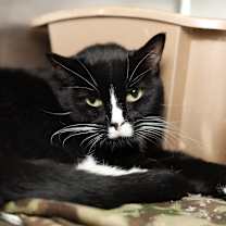 Thumbnail photo of Fred #2