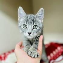 Thumbnail photo of PB #2