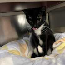 Thumbnail photo of Gwen #3