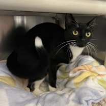 Thumbnail photo of Gwen #4