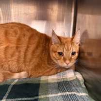 Thumbnail photo of Prince Ayden #1