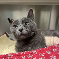 Thumbnail photo of Hope #1