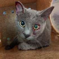 Thumbnail photo of Hope #4